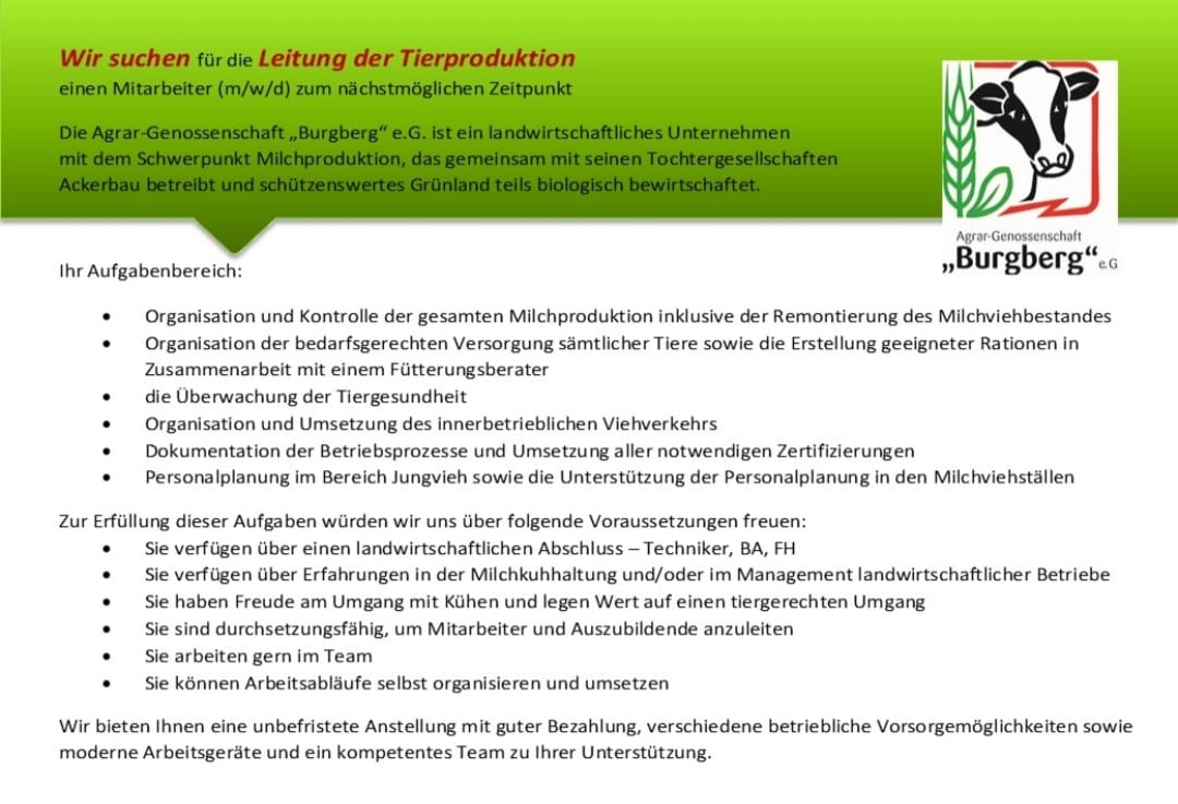 Stellenausschreibung TP-Leiter Rueckseite