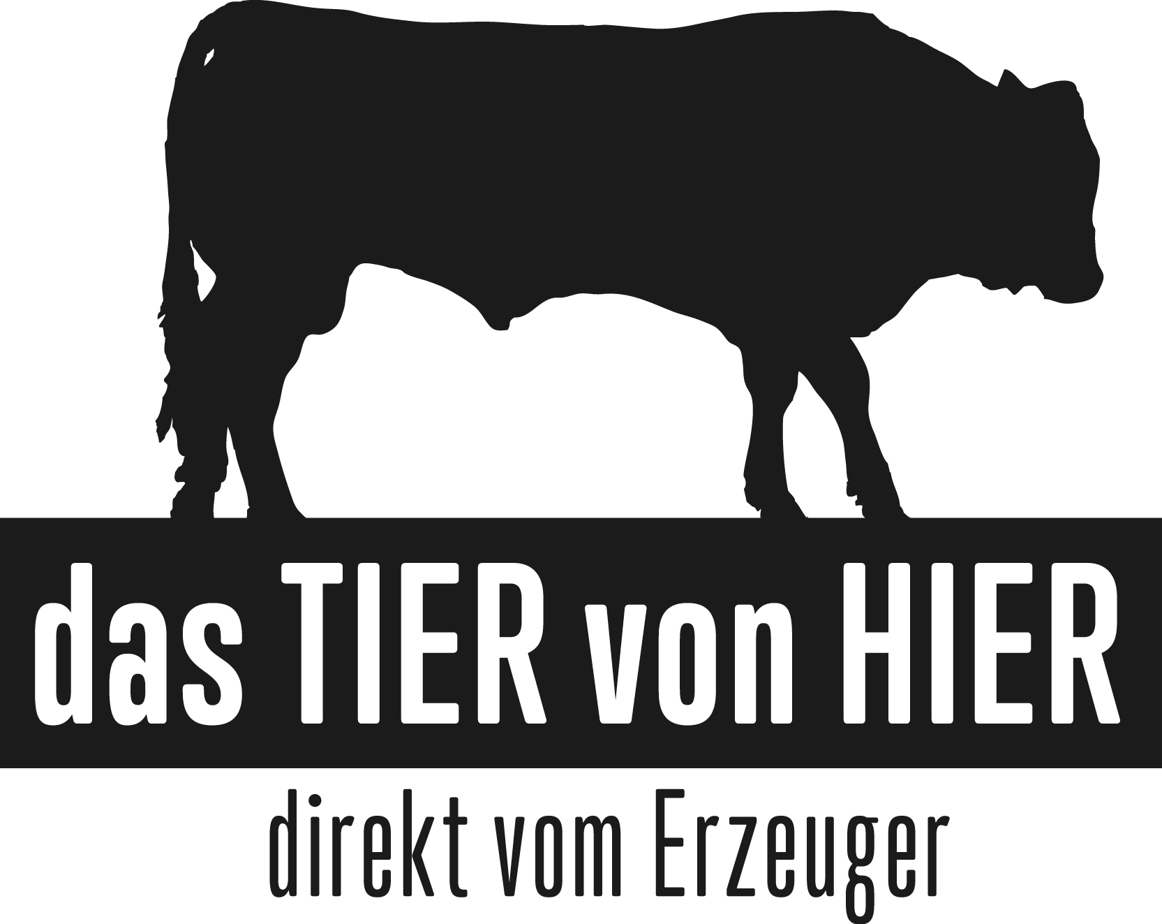 Logo dTvH schwarz